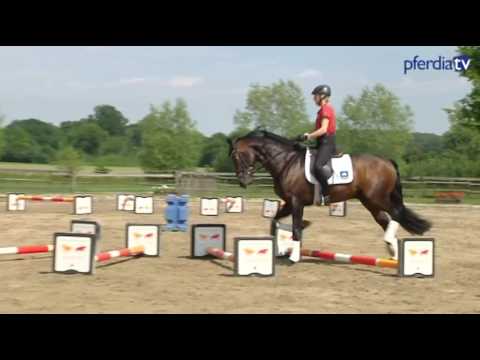 Durchlässigkeit & Versammlungsfähigkeit verbessern | Cavaletti-Übungen im Galopp | Ingrid Klimke