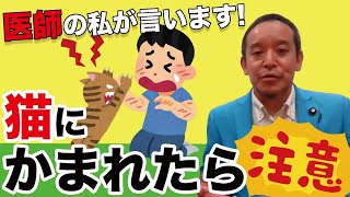 猫にかまれた場合は特に注意!!!