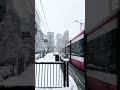 Toronto ️ New Shorts Status Live