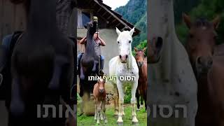 החיים הם שרשרת של אירועים – הרב דוד הכהן