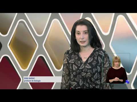 TeleŞcoala: Biologie clasa a XII-a – Acizii nucleici: compoziţie chimică, structură, funcţii (@TVR2)