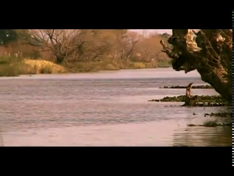 Hombre de río