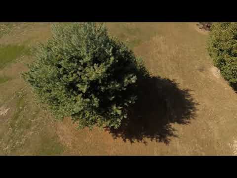 FT 2019.10.05 Remix 2