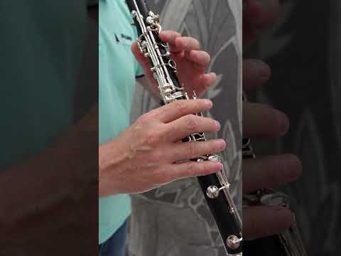 Tutorial, Hej, sokoły, klarnet, clarinet, instrukcja gry 单簧管