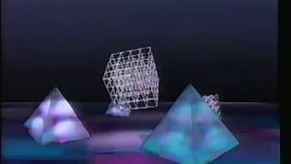 Jamaaladeen Tacuma - Renaissance Man