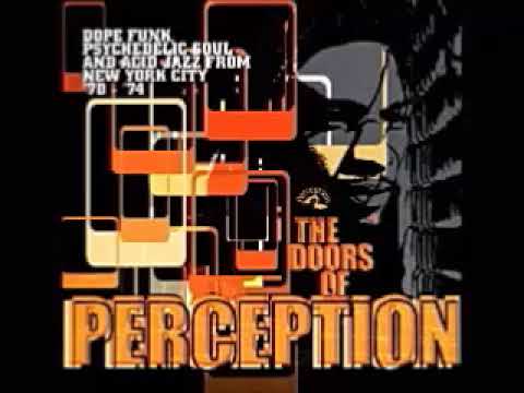 Thumbnail for Various – The Doors Of Perception Dope Funk, Psychedelic Soul & Acid Jazz From New York City '70-'74 by Debbie Taylor
