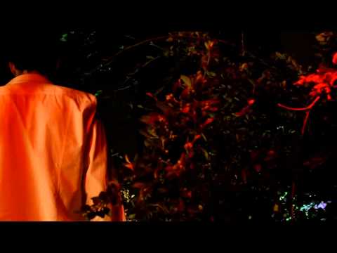 VIVA ELASTICO   YO TE QUIERO MAS