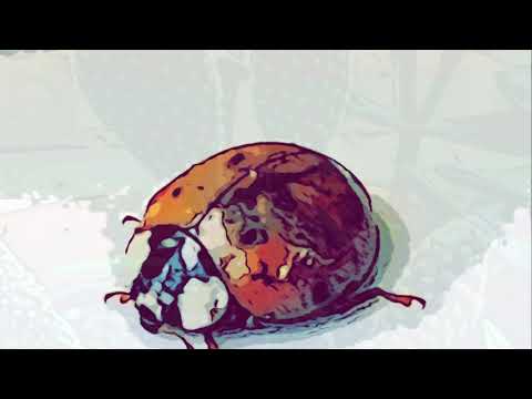 PatMusix - WaterMate Sax