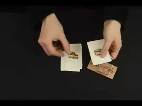Mouse Trap Magic Trick