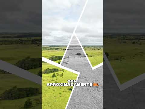 Finca de 200 Hectáreas en Venta en San Carlos de Guaroa, Meta 🌴 | $8 Millones por Hectárea