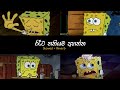 එයාටත් මේ සින්දු අහෙනවනම් Slowed Reverb Sinhala Song Col