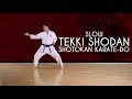 Tekki Shodan SLOW Shotokan Karate Do JKA