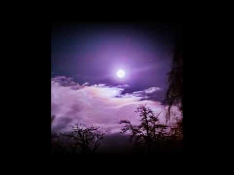 44. RHISIS - Never Alone At Night (ft. AUX CORP) [10.04.2019]