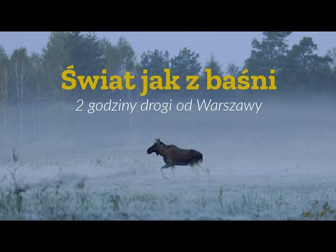 Świat jak z baśni | Podlaskie Travel