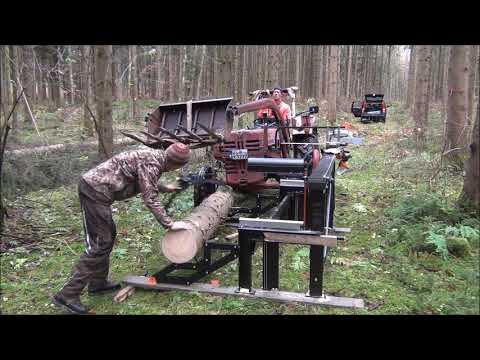 Vom Baum zum Brett Vol 1