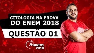 Qual Linhagem Deve Ser Escolhida Pelo Pesquisador