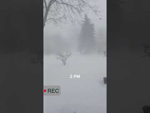 Snow Winetr Storm 2023 Blizzard Time-lapse #shorts #timelapse #snowstorm