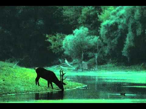 Zöld Erdőben In Green Forest - Hungarian Folk Song