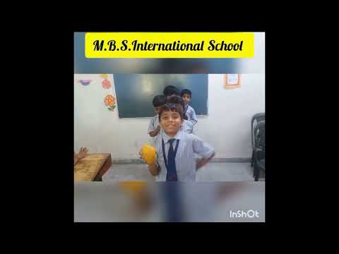 MBS International School, Greater Noida