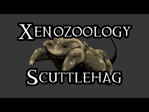Xenozoology: Scuttlehag - 40K Theories