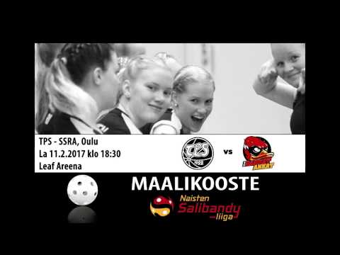 Maalikooste N1 TPS - SSRA 11.2.2017