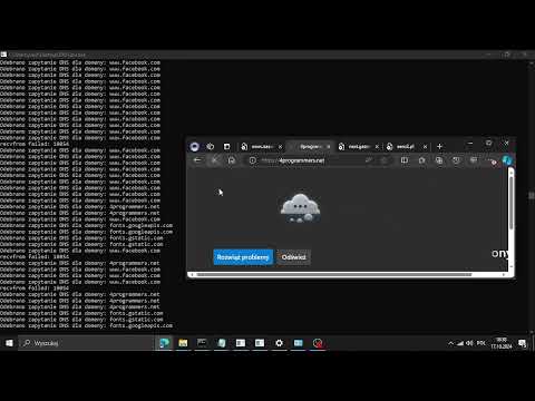 DNS Disaster: The Server Downfall