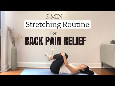 5 MIN LOWER BACK STRETCHING ROUTINE // For Pain and Stiffness  |  CancerFitness