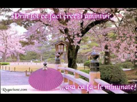 MARIAN DINISOR   Tanar sunt si viata'mi place .wmv