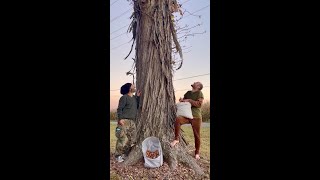 Wild Nuts, Tapping Into the Interconnectedness of All Life