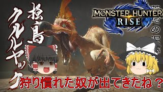 【MHR】ぼっちハンターがいくモンハンライズ！【ゆっくり実況】part9