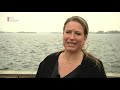 Weerstand tegen windmolens in De Ronde Venen  [RTV Utrecht]