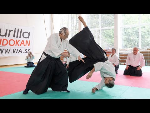 Daito-Ryu Aikijujutsu seminar by Masayuki Kondo sensei