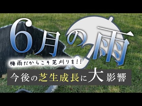 芝刈り:時間に注意 トピックス