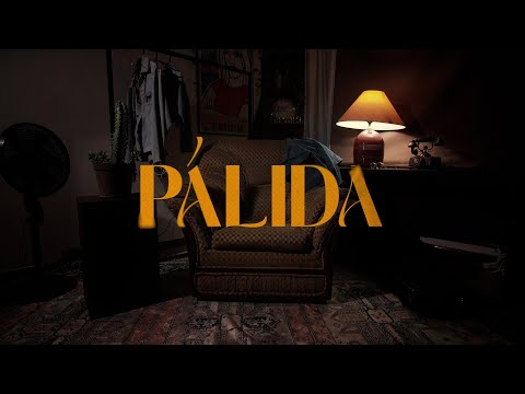 RK WAVY - PÁLIDA 🤒 (Visualizer)