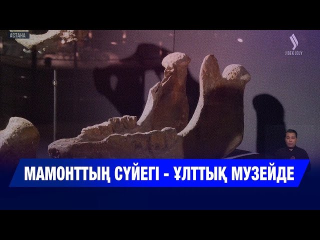 Ақмола облысында мамонт сүйегі табылды