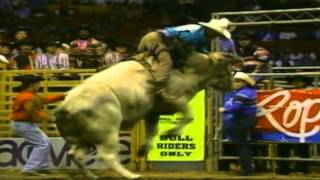 BODACIOUS&#39; TRIBUTE