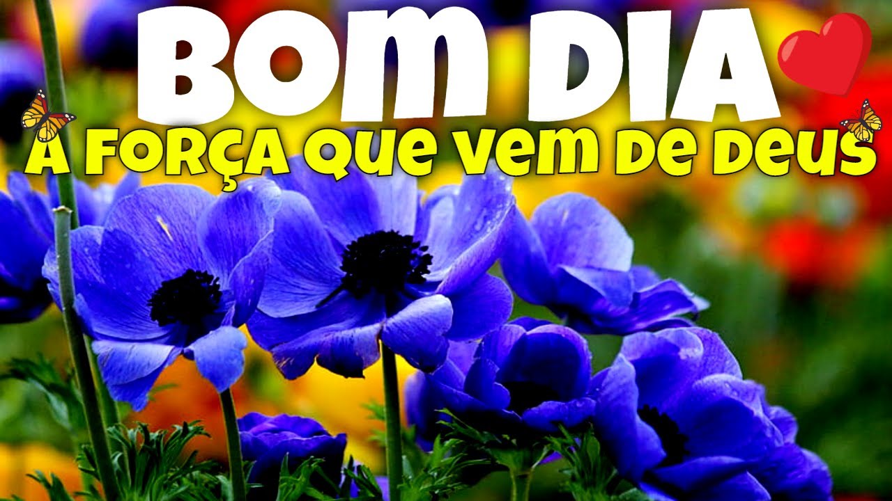 A Força que Vem de Deus ! Mensagem de Bom Dia