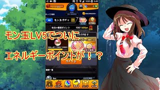 モン玉LV5でついにエネルギーポイントが！？