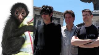 SHELLAC All The Surveyors  2014