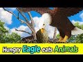 EN 70 Hungry Eagle Eats Animals Kids Education Collecta FigureㅣCoCosToy