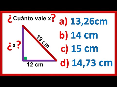 PYTHAGORAS THEOREM | SUPER EASY 🤩 | Exercise 3.