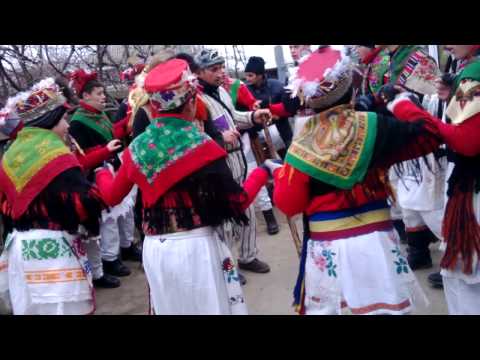 zorile de la topile part.2