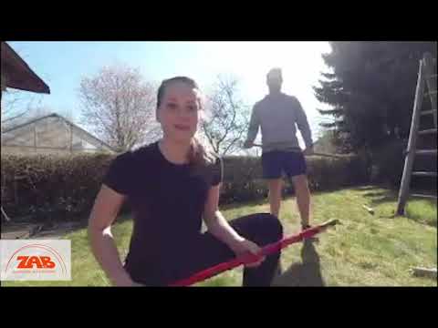 ZAB Reaktionstraining