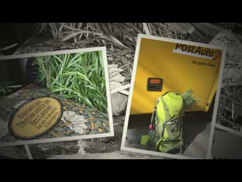 Ein Rosmarin auf Reisen Teil 1