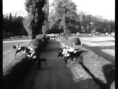 102. Velká pardubická steeplechase - 1992