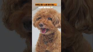 아랫집 층간소음 항의 대신 온 것은 ??