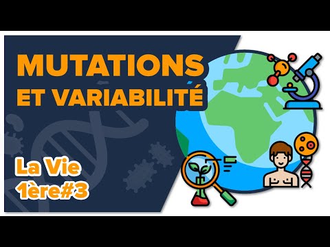 Mutations de l'ADN et variabilité génétique -SVT - LA VIE 1ère spé #3 - Mathrix
