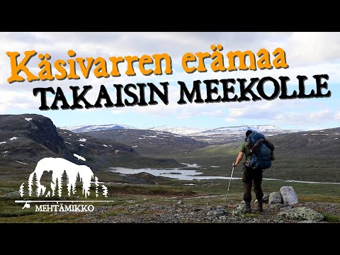 Back to the Valley of Meeko