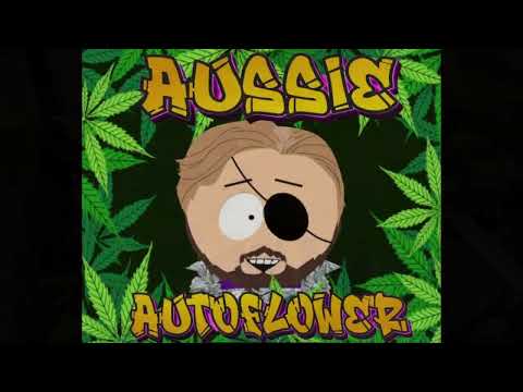 Micro/stealth grow GDP Auto 2 Gal sf1000