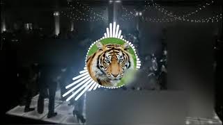 Sher Baja Tiger Dhun (Dhumal Dj Mix Mp 3 ) new 202